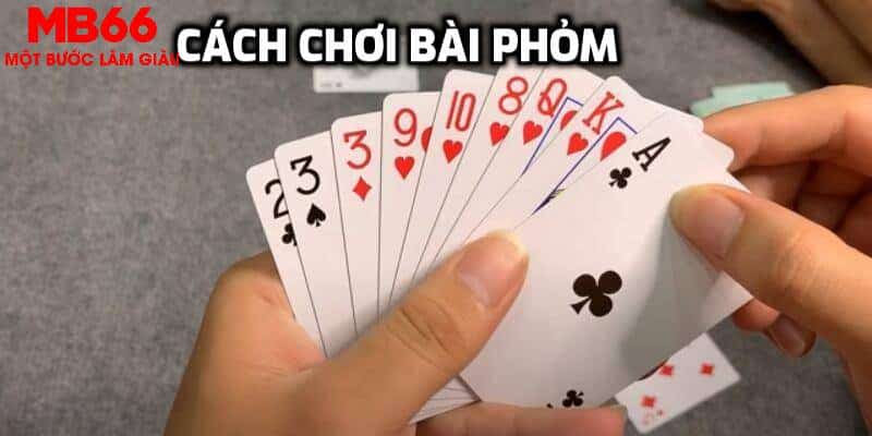Tìm hiểu về bài phỏm